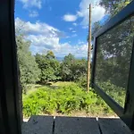 Casa de Férias Quinta Abelha *