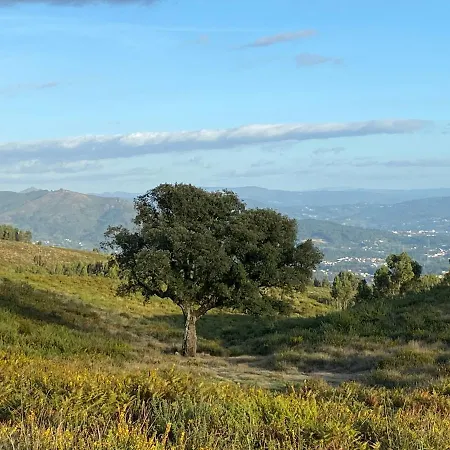 Quinta Abelha * Pico