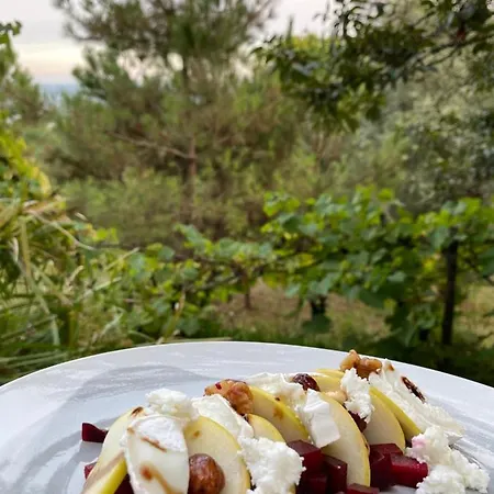 Quinta Abelha Vakantiehuis Pico