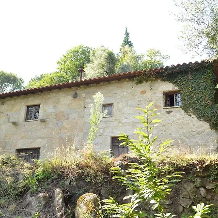 Quinta Abelha Ferienhaus Pico
