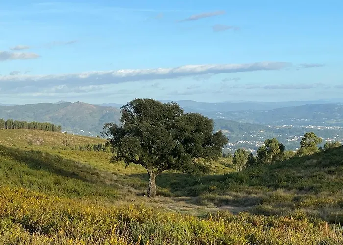 Quinta Abelha * Pico