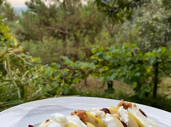 Quinta Abelha 度假居 Pico