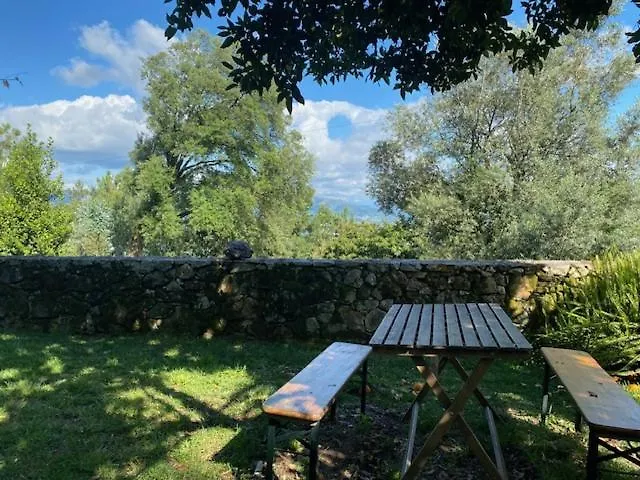 Quinta Abelha 度假居 Pico