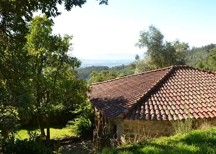 Quinta Abelha Pico