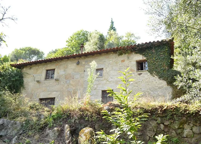 Quinta Abelha Feriehus Pico